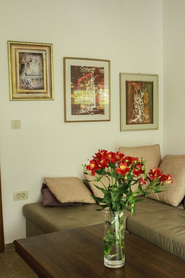 Апартаменты Vida`s house Вирпазар-31