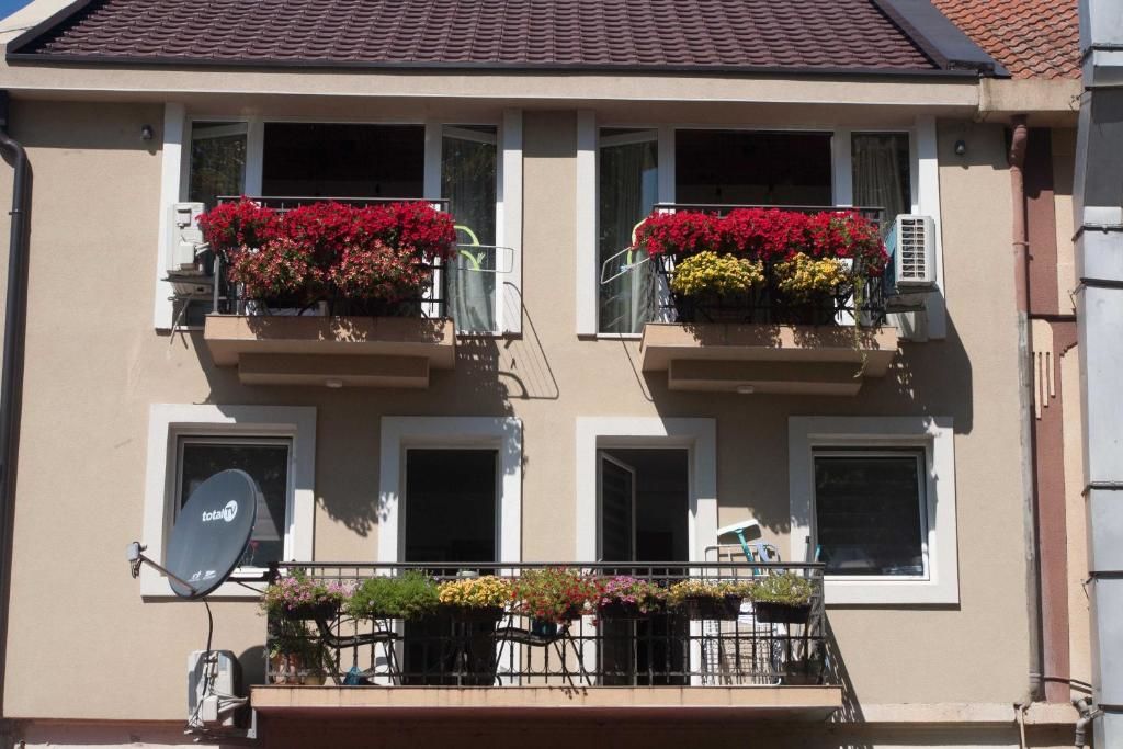 Апартаменты Vida`s house Вирпазар