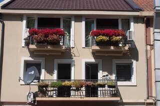 Апартаменты Vida`s house Вирпазар Апартаменты-5