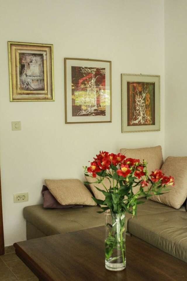 Апартаменты Vida`s house Вирпазар-30