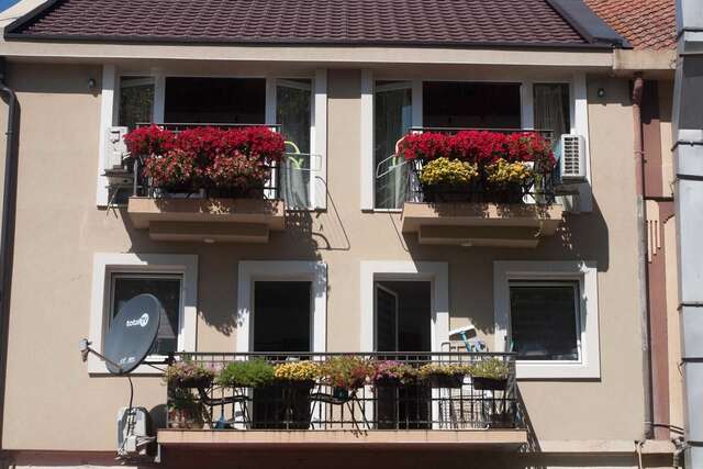 Апартаменты Vida`s house Вирпазар-8